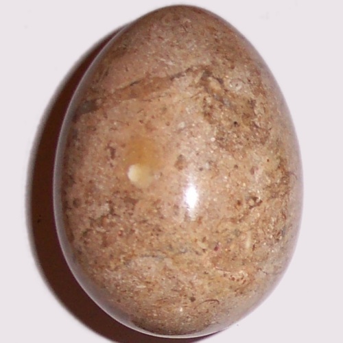 MARBLE EGG WITH FOSSILS F33 - Click Image to Close