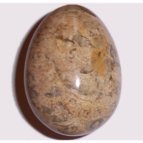 MARBLE EGG WITH FOSSILS F37