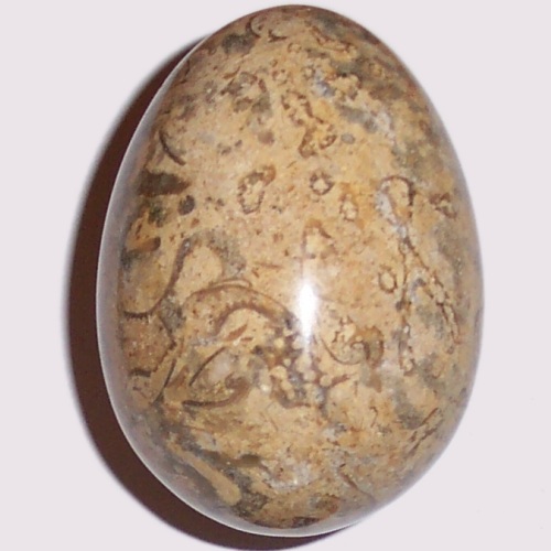 MARBLE EGG WITH FOSSILS F38 - Click Image to Close