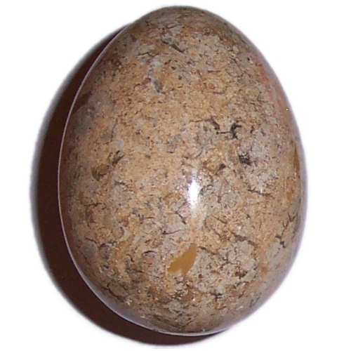 MARBLE EGG WITH FOSSILS F43 - Click Image to Close