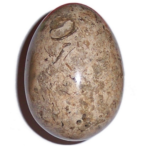 MARBLE EGG WITH FOSSILS F44
