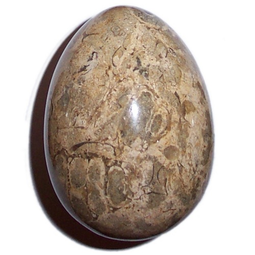 MARBLE EGG WITH FOSSILS F47 - Click Image to Close