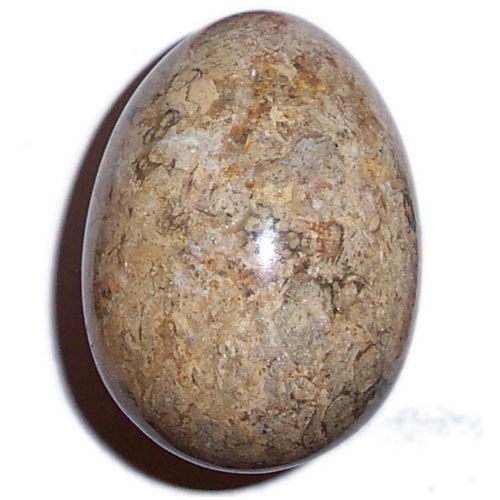 MARBLE EGG WITH FOSSILS F53 - Click Image to Close