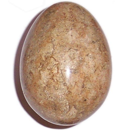 MARBLE EGG WITH FOSSILS F57 - Click Image to Close