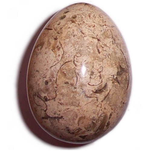 MARBLE EGG WITH FOSSILS F58 - Click Image to Close