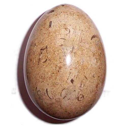 MARBLE EGG WITH FOSSILS F59 - Click Image to Close