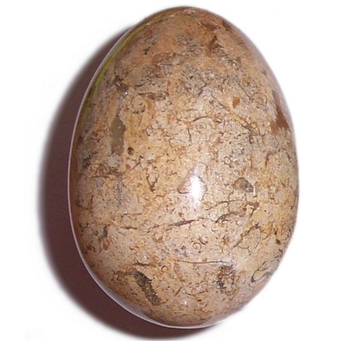 MARBLE EGG WITH FOSSILS F61 - Click Image to Close
