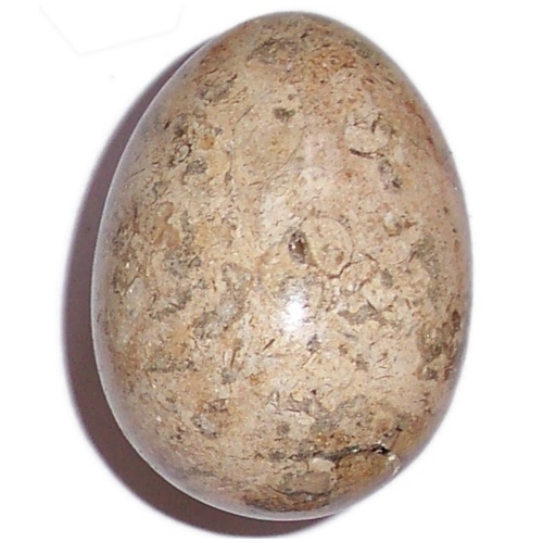 MARBLE EGG WITH FOSSILS F63 - Click Image to Close