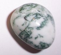 TREE AGATE - Click Image to Close
