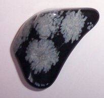 SNOWFLAKE OBSIDIAN - Click Image to Close
