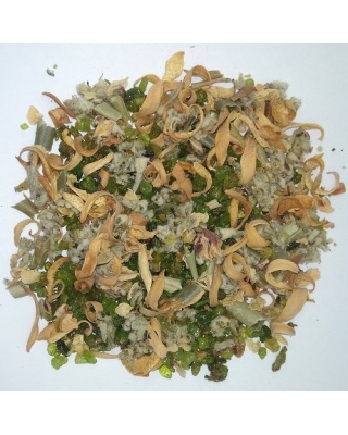 GAIA