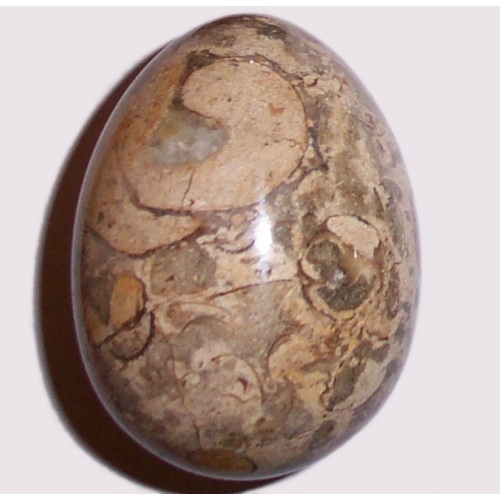 MARBLE EGG WITH FOSSILS F39