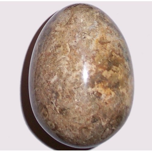 MARBLE EGG WITH FOSSILS F40