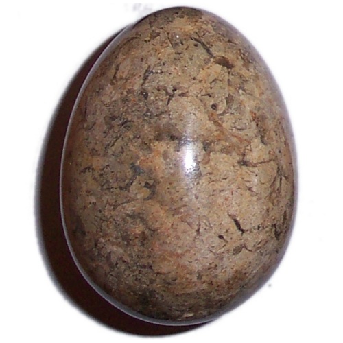 MARBLE EGG WITH FOSSILS F46