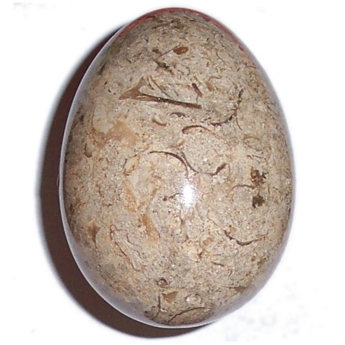 MARBLE EGG WITH FOSSILS F50