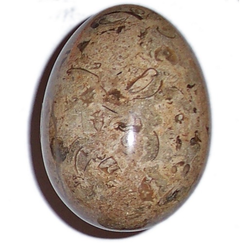 MARBLE EGG WITH FOSSILS F51