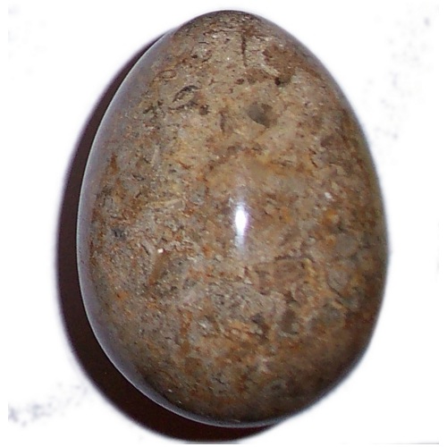 MARBLE EGG WITH FOSSILS F54