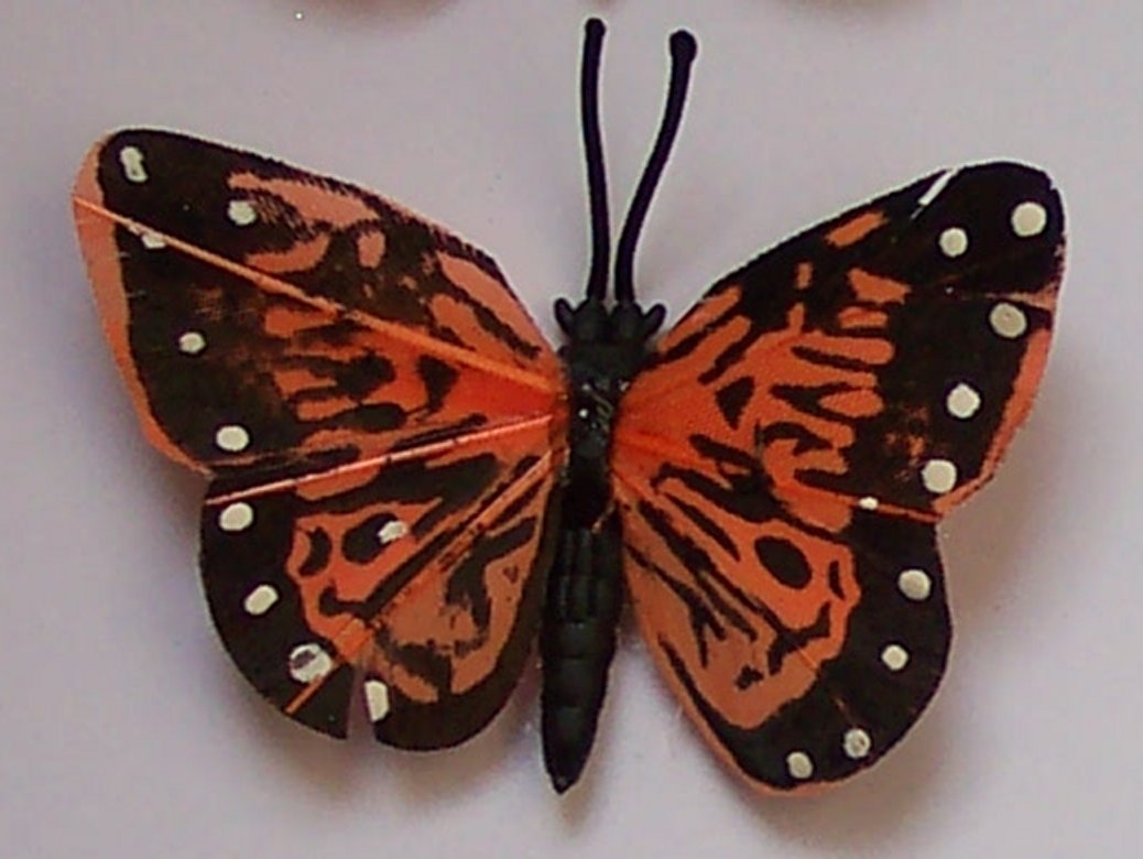 Orange Butterfly Fridge Magnet