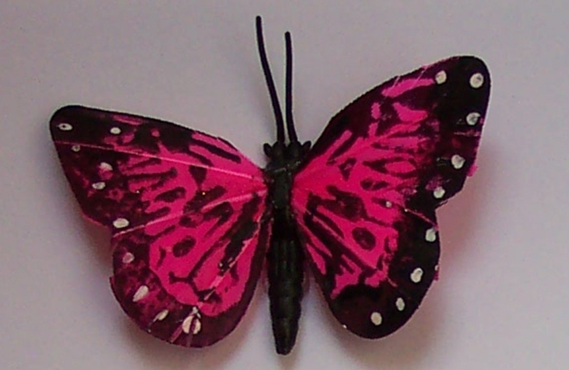 Pink Butterfly Fridge Magnet