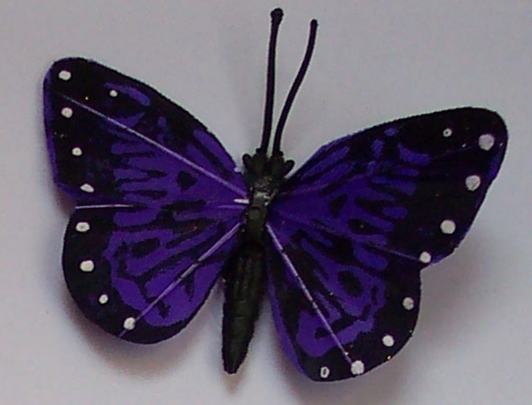 Purple Butterfly Fridge Magnet