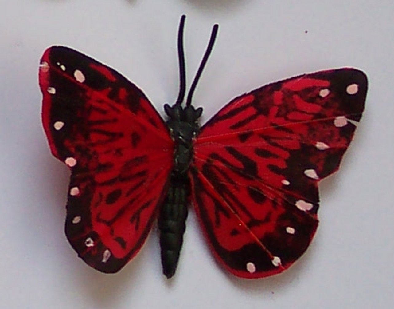 Red Butterfly Fridge Magnet